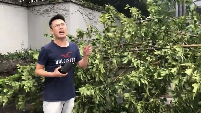 交通廣播記者婁邵明在市區(qū)被臺風(fēng)折斷的樹木旁連線.jpg